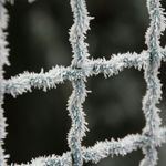 Abstract frost patterns